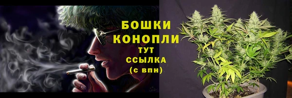 гашик Медвежьегорск