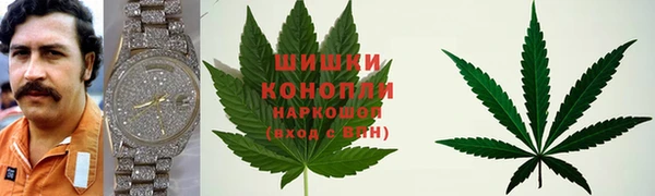 соль ск Медногорск
