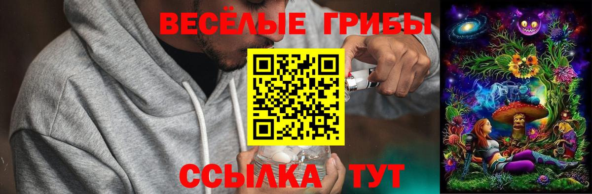 Псилоцибиновые грибы Psilocybe Хабаровск