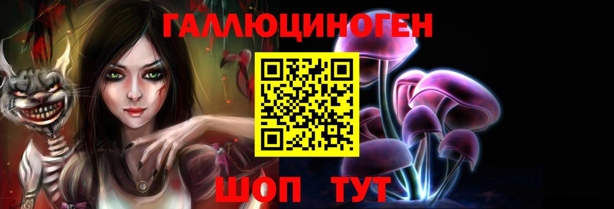 Хабаровск  Галлюциногенные грибы Psilocybine cubensis  Вход с VPN 